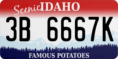 ID license plate 3B6667K