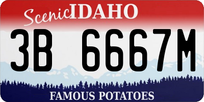 ID license plate 3B6667M