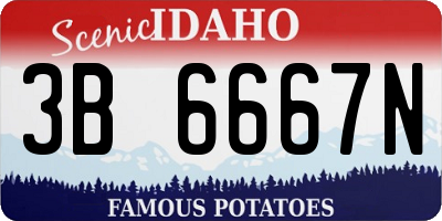ID license plate 3B6667N