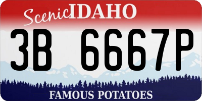ID license plate 3B6667P