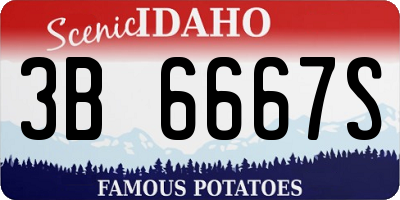 ID license plate 3B6667S