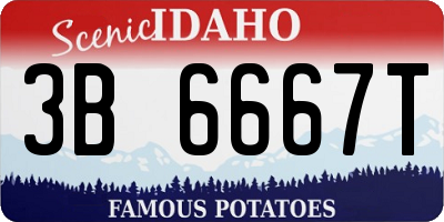 ID license plate 3B6667T