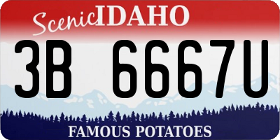 ID license plate 3B6667U