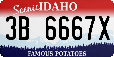 ID license plate 3B6667X
