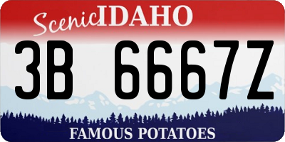 ID license plate 3B6667Z