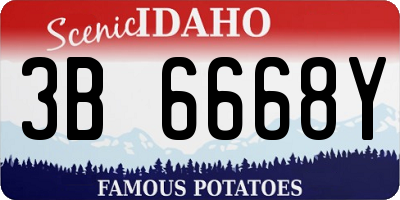 ID license plate 3B6668Y