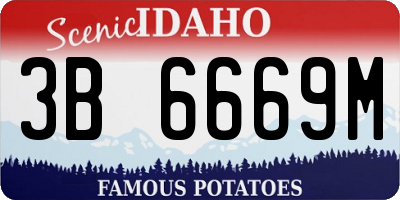 ID license plate 3B6669M
