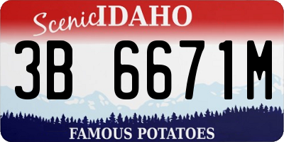 ID license plate 3B6671M