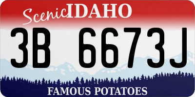 ID license plate 3B6673J