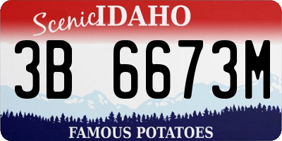ID license plate 3B6673M