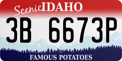 ID license plate 3B6673P