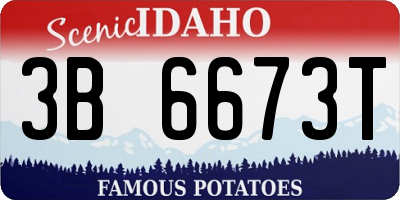 ID license plate 3B6673T