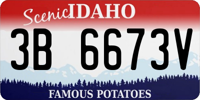 ID license plate 3B6673V