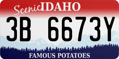 ID license plate 3B6673Y