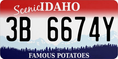 ID license plate 3B6674Y