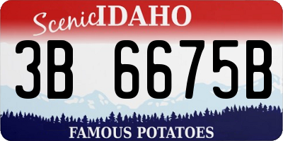 ID license plate 3B6675B