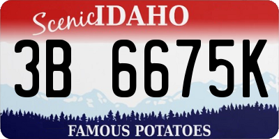 ID license plate 3B6675K