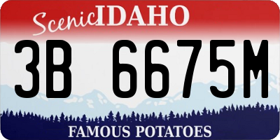 ID license plate 3B6675M
