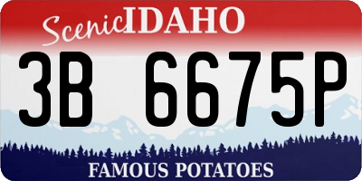 ID license plate 3B6675P