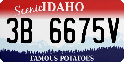 ID license plate 3B6675V