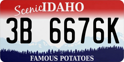 ID license plate 3B6676K