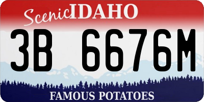 ID license plate 3B6676M