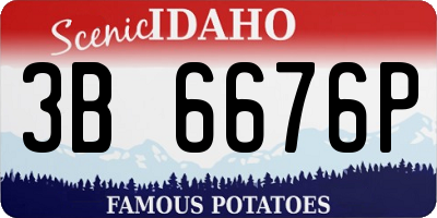 ID license plate 3B6676P
