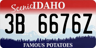 ID license plate 3B6676Z