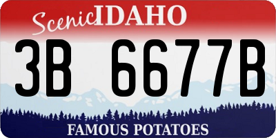 ID license plate 3B6677B