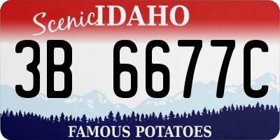 ID license plate 3B6677C
