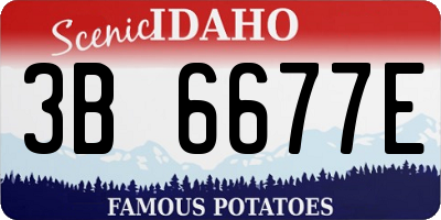 ID license plate 3B6677E