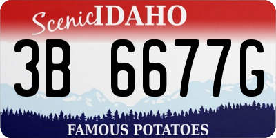 ID license plate 3B6677G