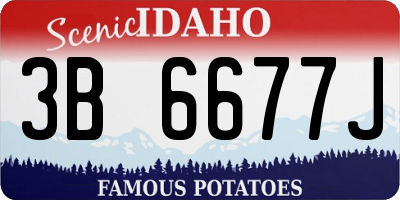 ID license plate 3B6677J