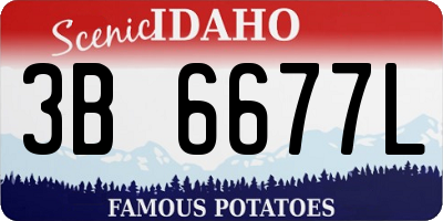 ID license plate 3B6677L