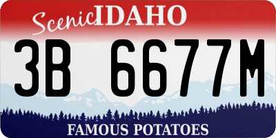 ID license plate 3B6677M