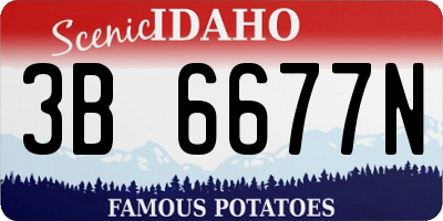 ID license plate 3B6677N