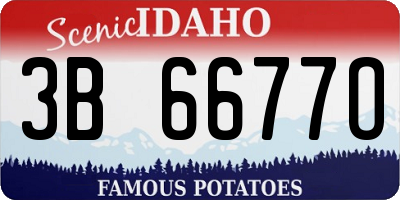 ID license plate 3B6677O