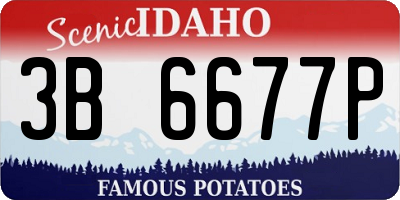ID license plate 3B6677P