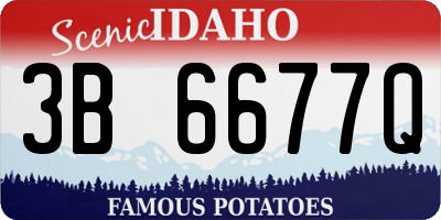 ID license plate 3B6677Q