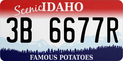 ID license plate 3B6677R