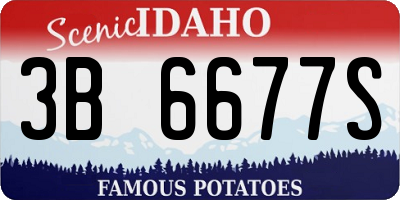 ID license plate 3B6677S