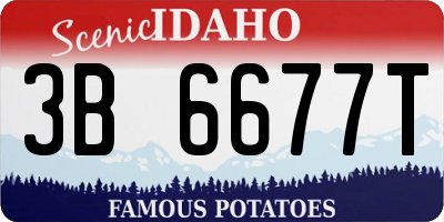 ID license plate 3B6677T