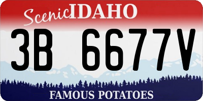 ID license plate 3B6677V