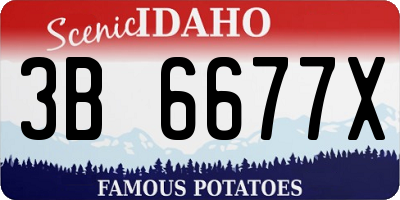 ID license plate 3B6677X