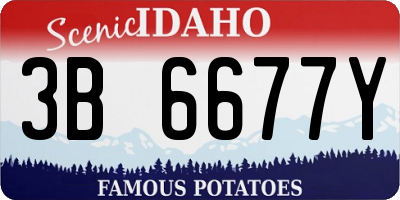 ID license plate 3B6677Y