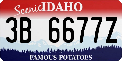 ID license plate 3B6677Z