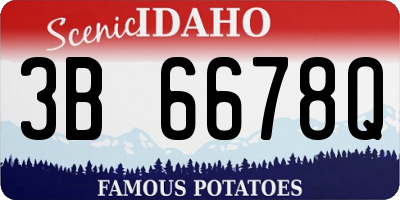 ID license plate 3B6678Q