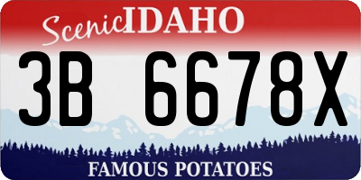 ID license plate 3B6678X