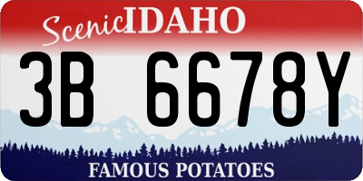 ID license plate 3B6678Y
