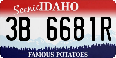 ID license plate 3B6681R